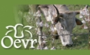 Osservatorio Epidemiologico Veterinario Regione Puglia